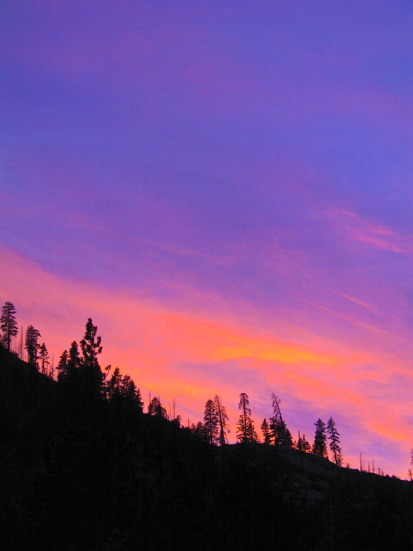 Tree Lined Ridge At Sunset